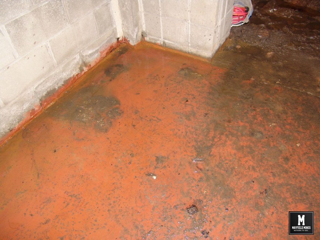 2012 38 Maitland Road Ground Floor