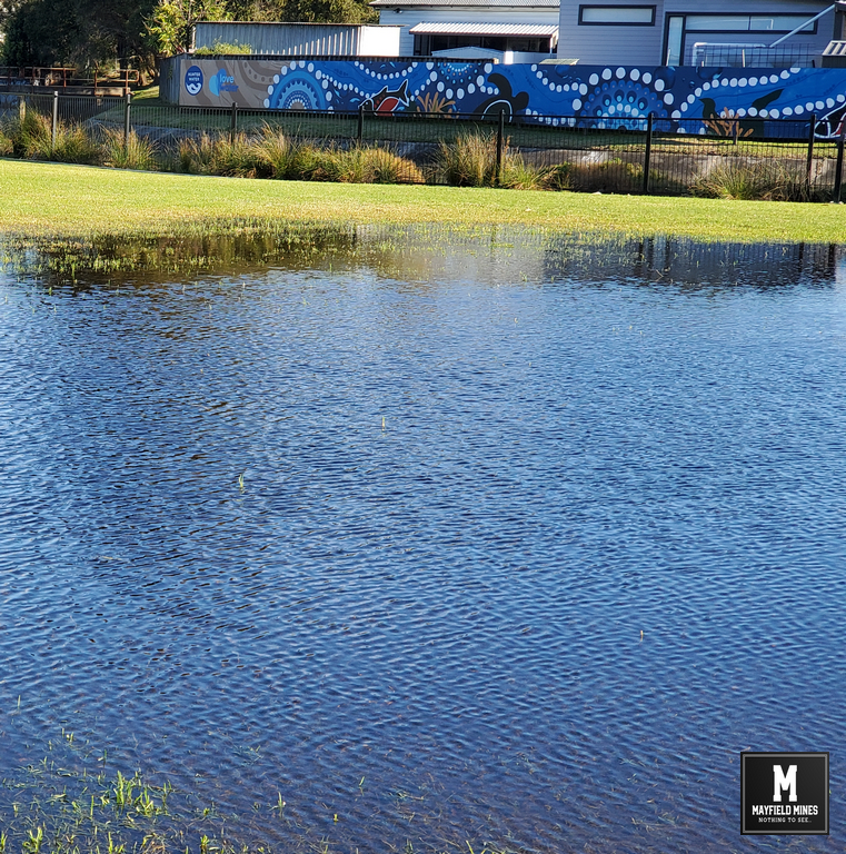 Litchfield Park Flooded in July 2025